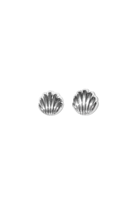 SHELL EARRINGS (STERLING SILVER)